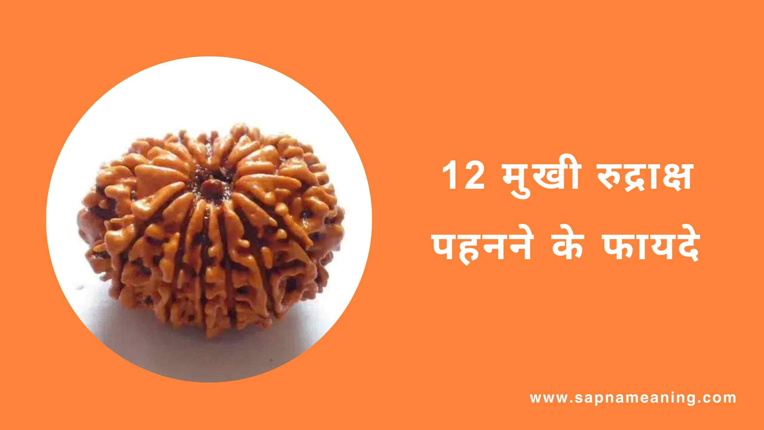 12 Mukhi Rudraksha Benefits